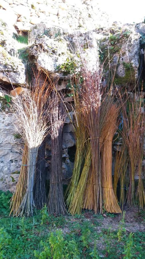 L'Oseraie Du Quercy Calvignac Екстериор снимка